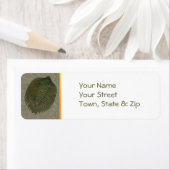 アルクチンス・ボルトニ化石トリロバイト ラベル (インサイチュ)