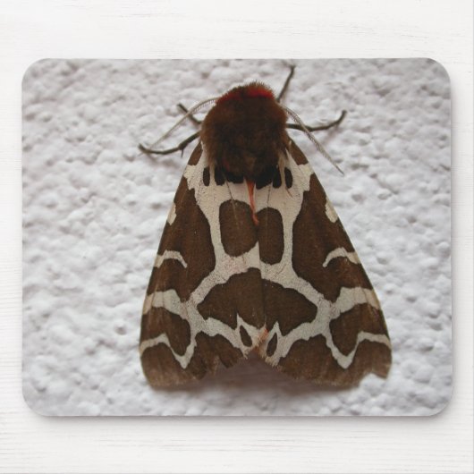 アルクティア・カハ マウスパッド (正面)