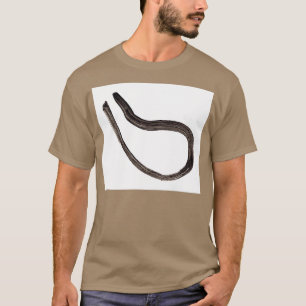 アルケミカルシンボルレトルト1 Tシャツ