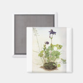 アルケレブルーメ – アルブレヒトDurer - c1500 マグネット (正面/裏面)