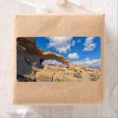 アルコデタジャオ ラベル (インサイチュ)