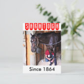 アルコライト - サラトガの馬小屋 ポストカード (スタンド正面)