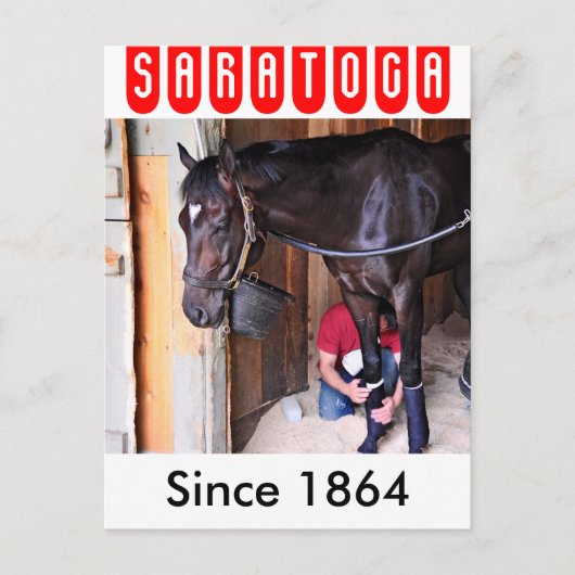 アルコライト - サラトガの馬小屋 ポストカード (正面)