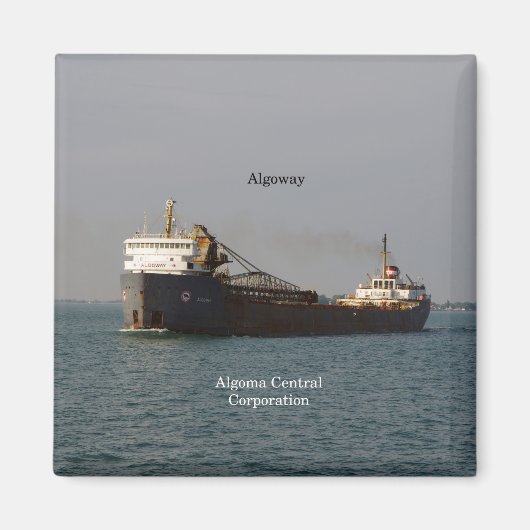 アルゴウェイ磁石 マグネット (正面)