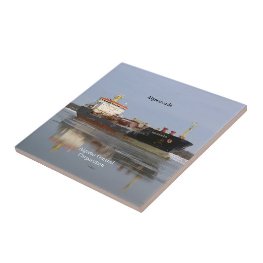 アルゴカナダタイル タイル (側面)