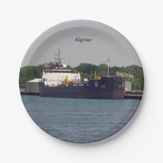 アルゴサル紙プレート ペーパープレート (正面)