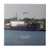 アルゴサールタイル タイル (正面)