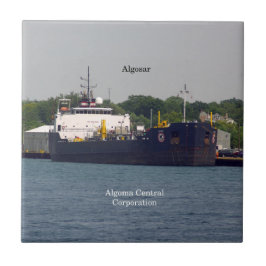 アルゴサールタイル タイル