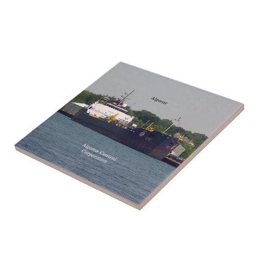 アルゴサールタイル タイル (側面)