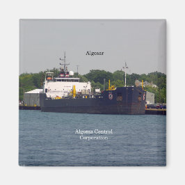 アルゴサール磁石 マグネット