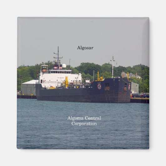 アルゴサール磁石 マグネット (正面)