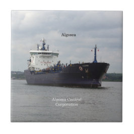 アルゴシー瓦 タイル