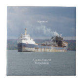 アルゴスチールタイル タイル (正面)