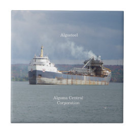 アルゴスチールタイル タイル