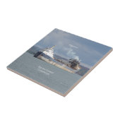 アルゴスチールタイル タイル (側面)