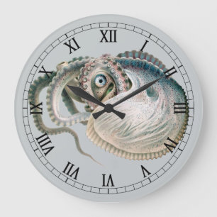 アルゴナウタスダイオウイイダコ, アンティークの海洋生物イラスト ラージ壁時計