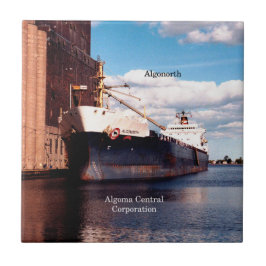 アルゴノラス瓦 タイル