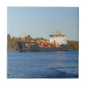 アルゴノヴァ瓦 タイル (正面)