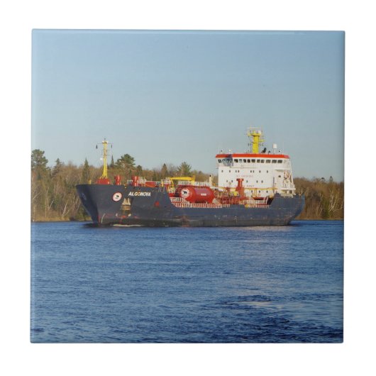 アルゴノヴァ瓦 タイル (正面)