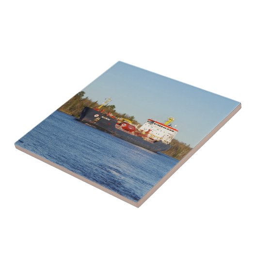 アルゴノヴァ瓦 タイル (側面)