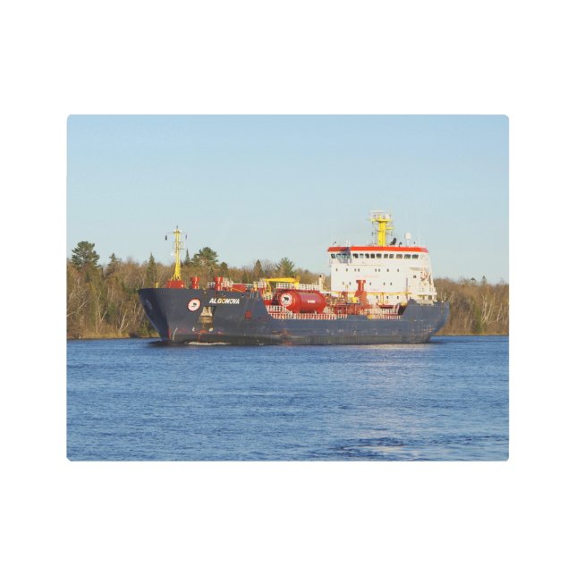 アルゴノヴァ金属ウォールアート メタルプリント (正面)