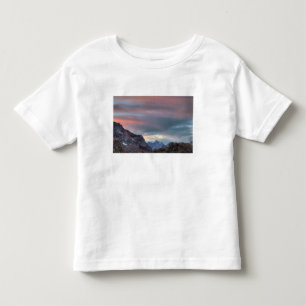 アルゴノートピーク 日没 トドラーTシャツ