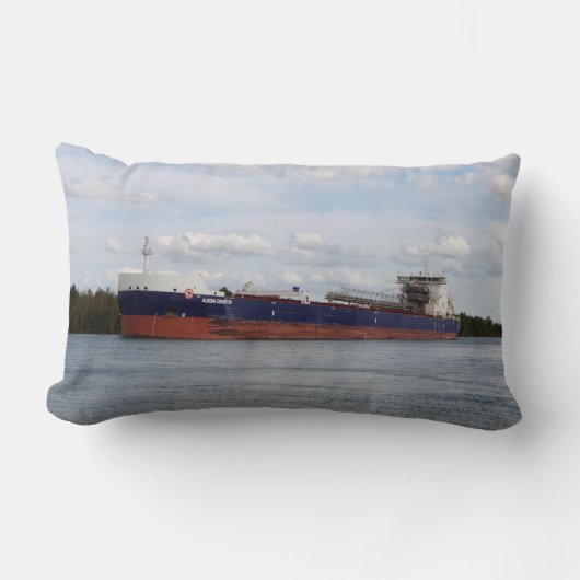 アルゴマコンベヤー両面腰枕 ランバークッション (正面)