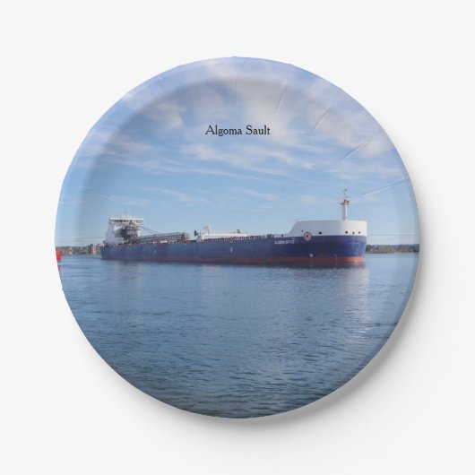 アルゴマソルト紙プレート ペーパープレート (正面)