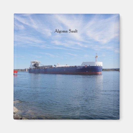 アルゴマソルト マグネット (正面)