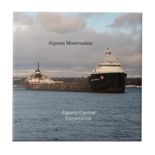 アルゴマモントリオレタイル タイル (正面)