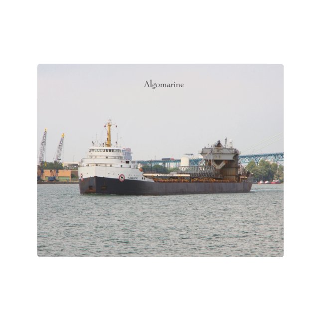 アルゴマリン金属ウォールアート メタルプリント (正面)