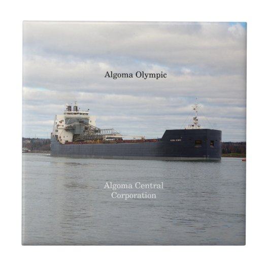 アルゴマ五輪瓦 タイル (正面)