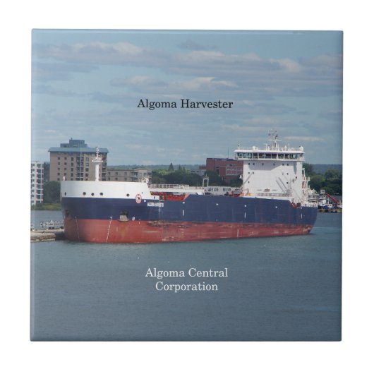 アルゴマ収穫用タイル タイル (正面)