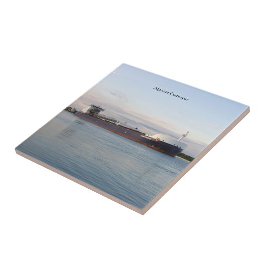 アルゴマ搬送タイル タイル (側面)