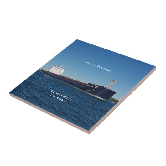 アルゴマ発見タイル タイル (側面)