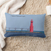 アルゴマ穴開け軽腰枕 ランバークッション (ブランケット)