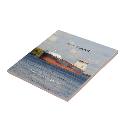 アルゴマ線虫タイル タイル (側面)