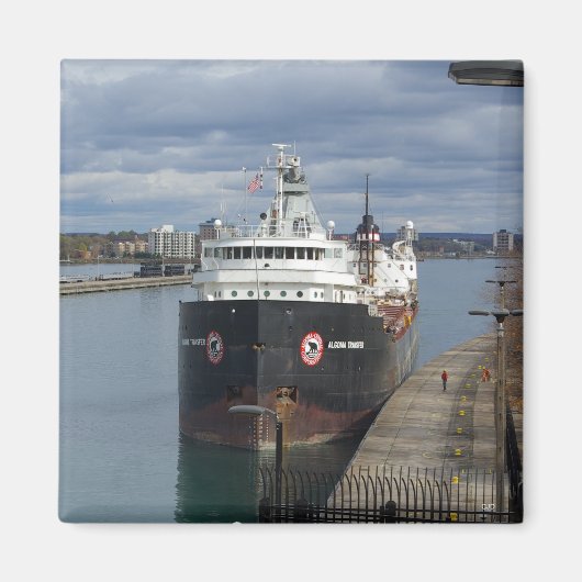 アルゴマ転写磁石 マグネット (正面)