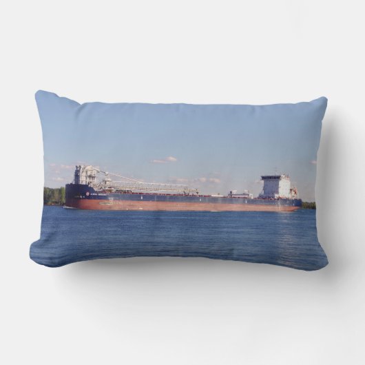 アルゴマ・イノベーター腰枕 ランバークッション (正面)