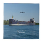 アルゴラキタイル タイル (正面)