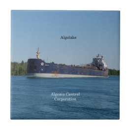 アルゴラキタイル タイル