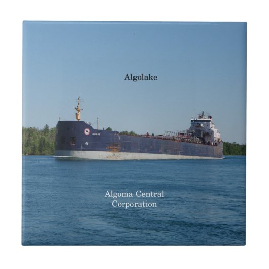 アルゴラキタイル タイル (正面)