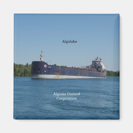 アルゴラク磁石 マグネット (正面)