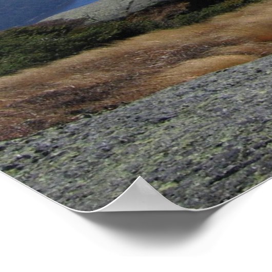 アルゴンキンサミット ポスター (角)