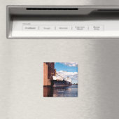 アルゴンナス磁石 マグネット (インサイチュ (食洗機))