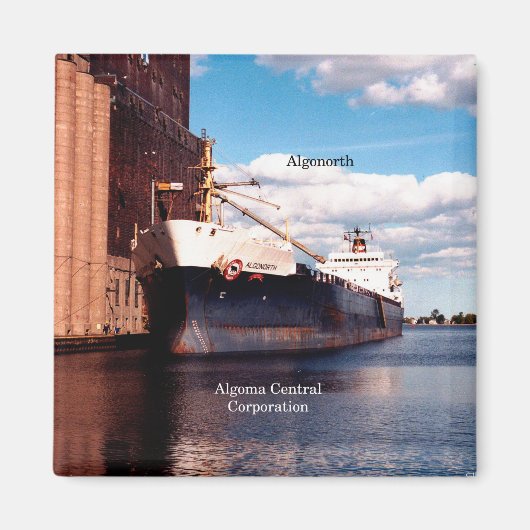 アルゴンナス磁石 マグネット (正面)