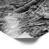 アルゴンヌ前世界大戦ヴィンテージ フォトプリント            (角)