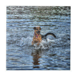 アルザチアン・ドイツ羊飼い犬の恋人ギフト タイル