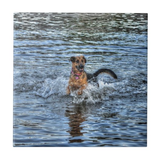 アルザチアン・ドイツ羊飼い犬の恋人ギフト タイル (正面)