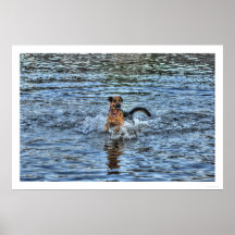 アルザチアン・ドイツ羊飼い1犬派ポスター